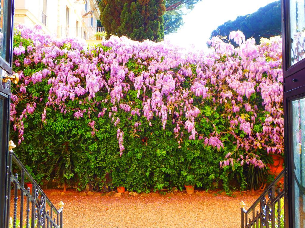 Affittacamere Domus Monamì Luxury Roma